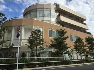 シニアコートビオラ
